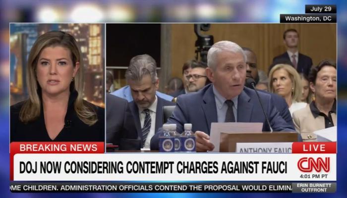 CNN Rants: Trump's 'Department of Grievance' Will Wrongly Prosecute Fauci