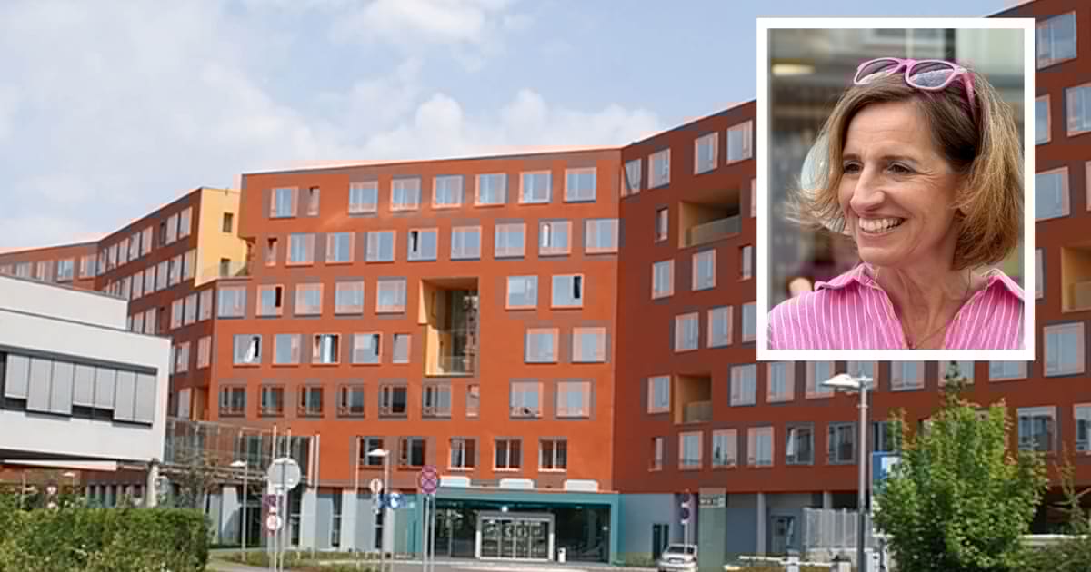 Wirtschaftskammer NÖ - Posten, Kosten und Gagen geraten ins pinke Visier