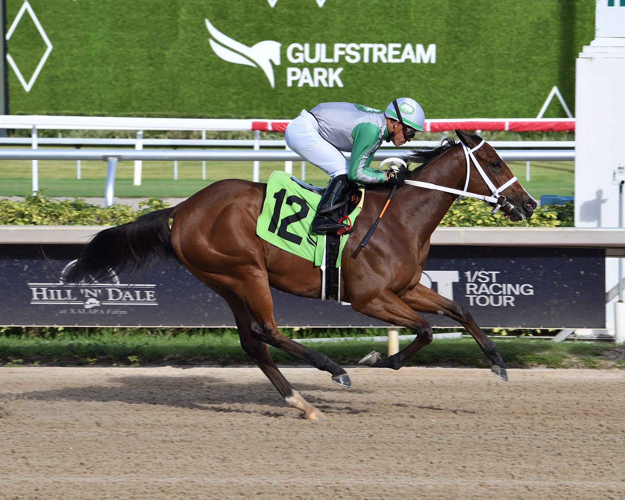 Forward Gal Stakes Betting, Odds and Picks