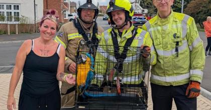 Firefighters rescue parrot stuck up tree in Witham after failing first flight