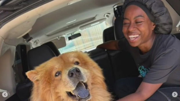 Family of Oakland woman hit by car driven by child say she is fighting for her life