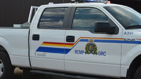 1 man dead, small wildfire ignited after tractor catches fire near Lumby, B.C.: RCMP