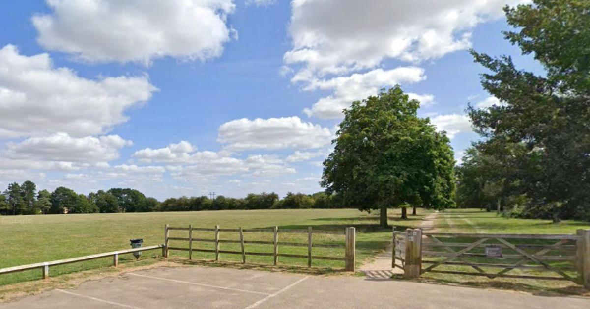 Letchworth parkrun results: 21 personal bests at event 376