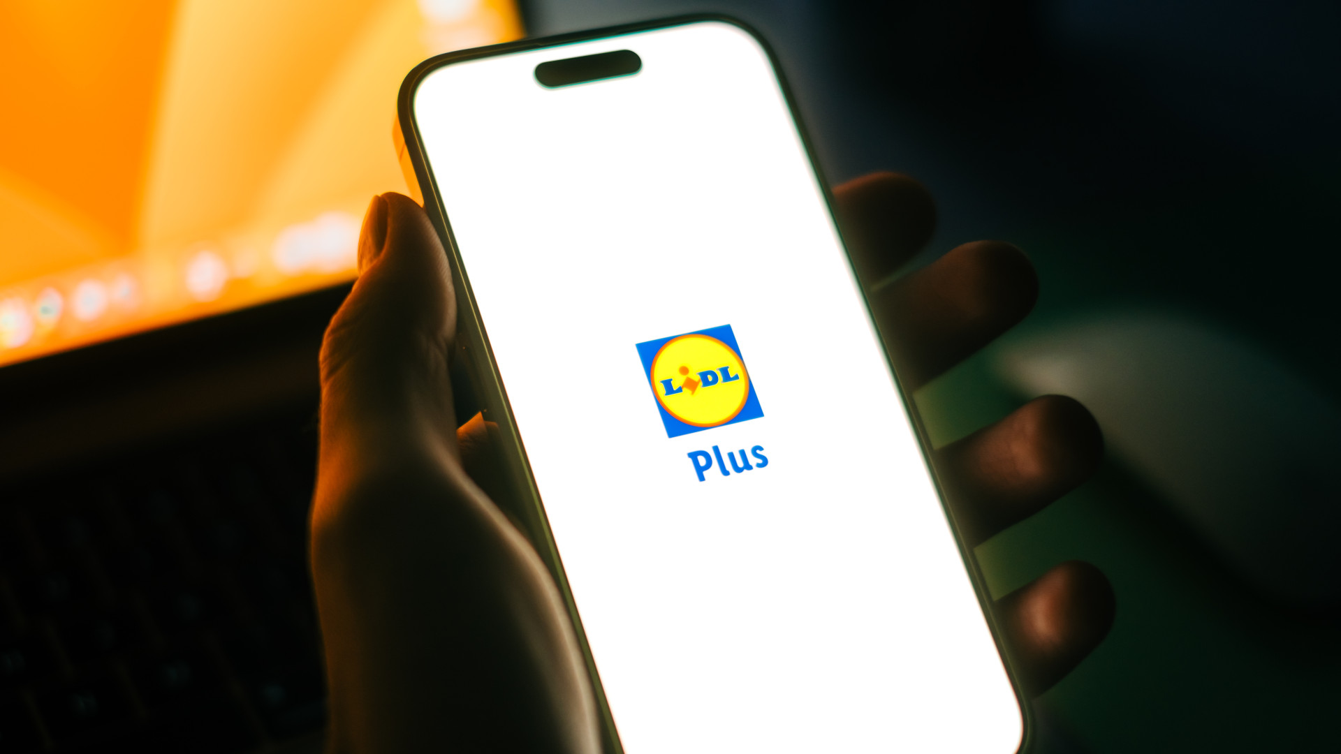 Több mint 22 milliárd forintot takarítottak meg tavaly a Lidl digitális hűségprogramjával