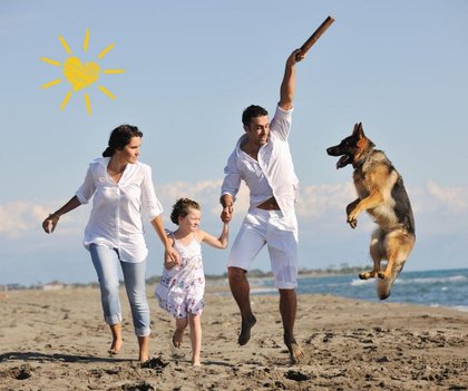 Which New Jersey Beaches Welcome Dogs in the Fall?