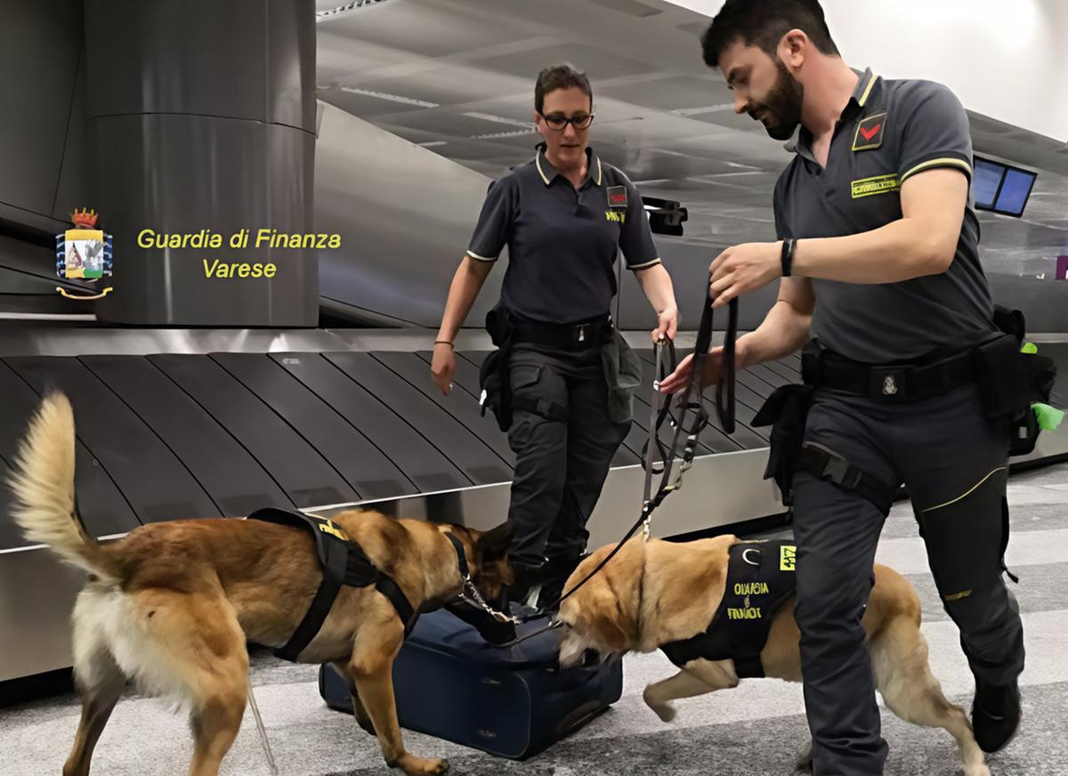 Narcotraffico dal Pakistan. Sequestrati 13 chili di eroina scattano sette arresti