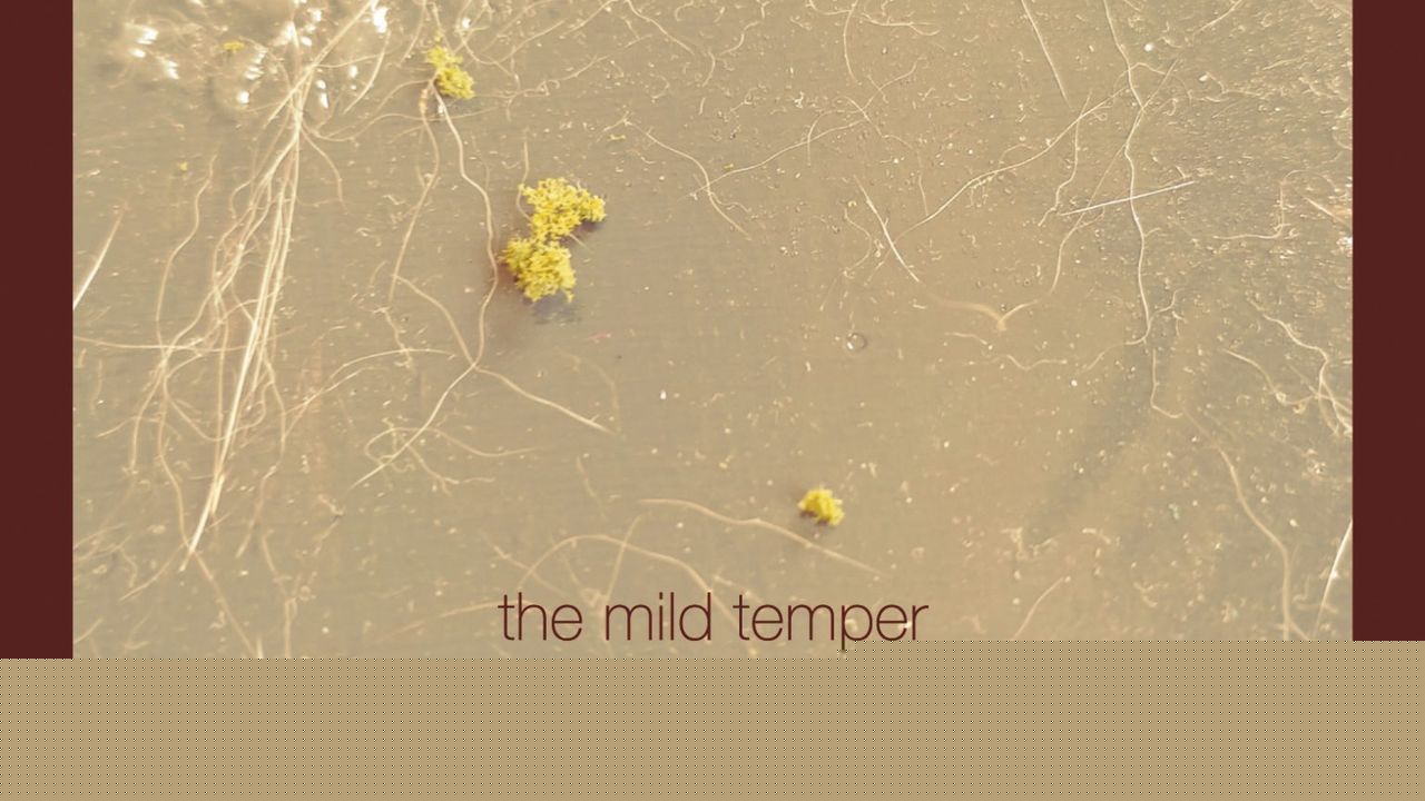 The Mild Temper