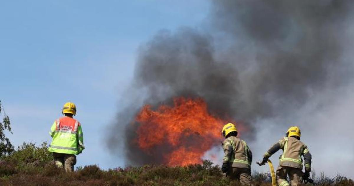 Plea to public ahead of heatwave after 277 wildfires tackled last month
