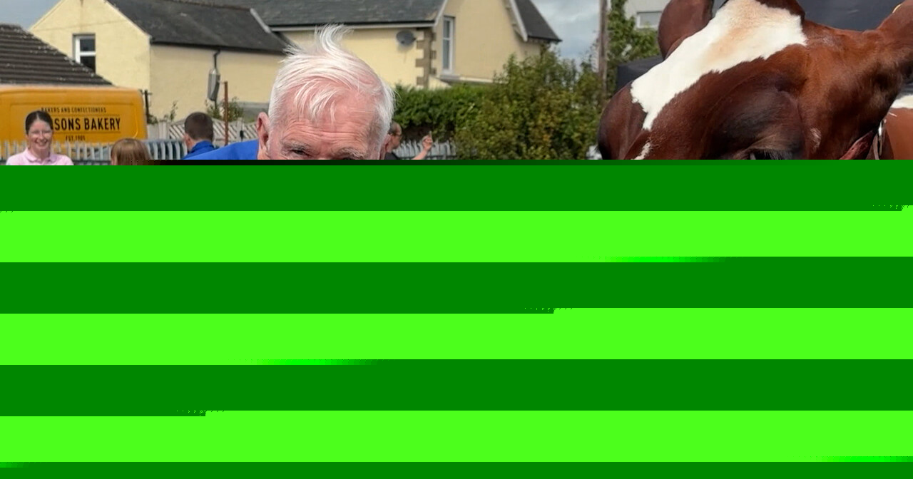 99 year old man fulfills dream to get back into the ring with Ayrshire cow
