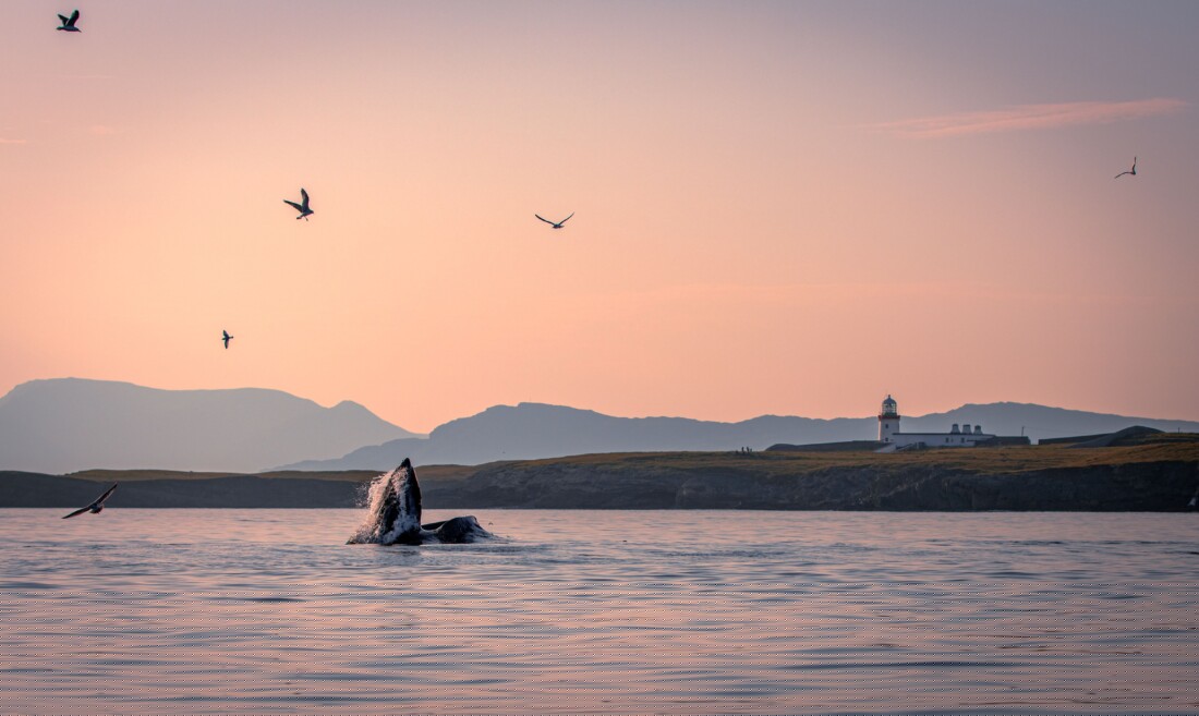 Donegal Bay photo scoops top prize