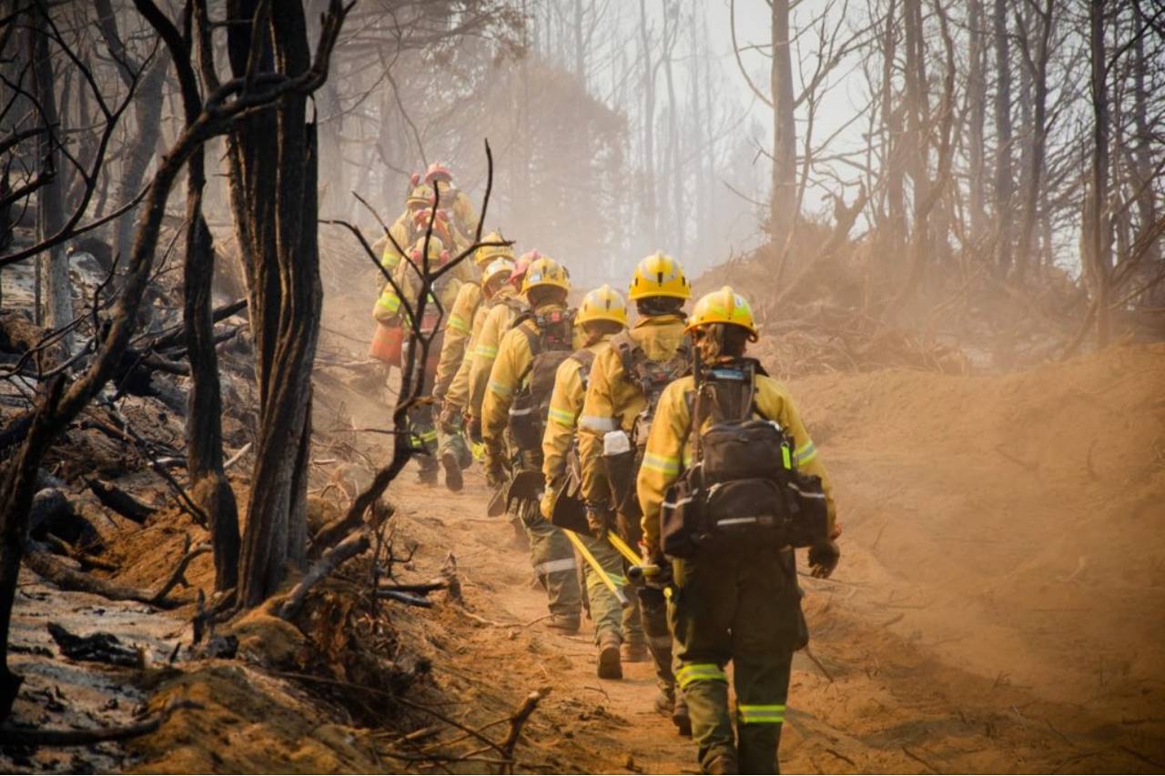 Argentine government declares state of emergency over Patagonia wildfires