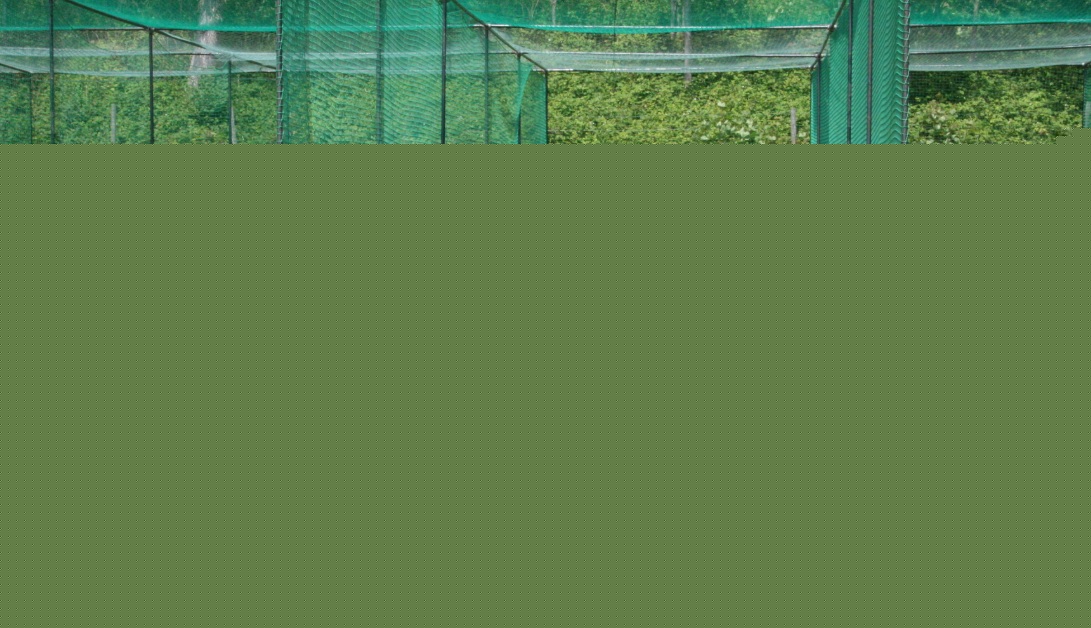 Comment on Brighton College applies for permission for 25-year-old astroturf by Benjamin