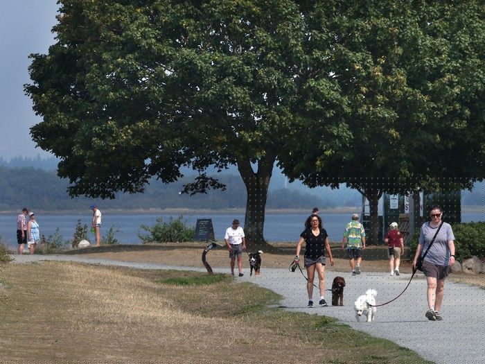 Air quality warning issued for Metro Vancouver as wildfire smoke worsens