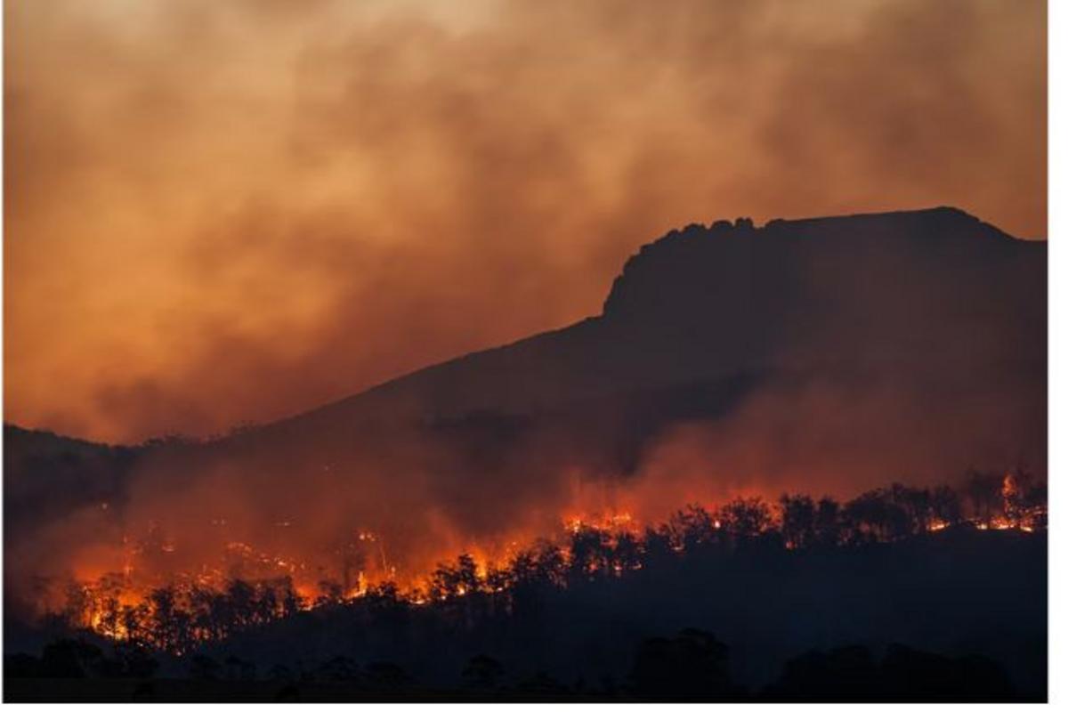 Albany County Sheriff: Fish Creek Fire 50 Percent Contained