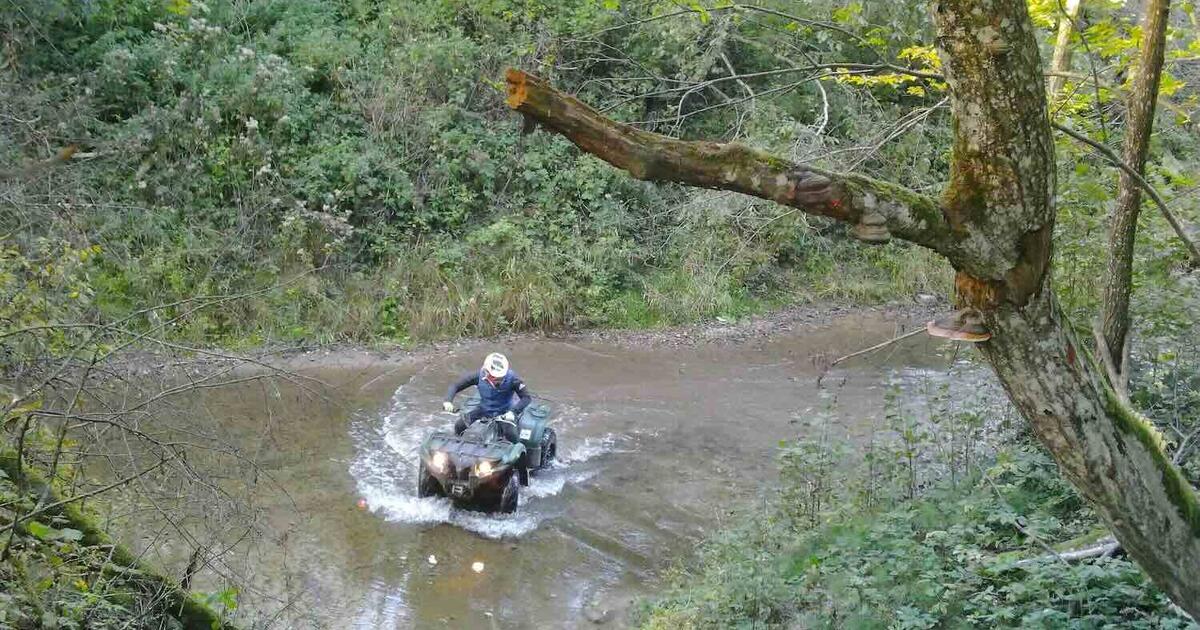 Keturračiai gamtoje: mitai ir realybė