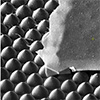 Atom-thin materials: handle with care... and cling film