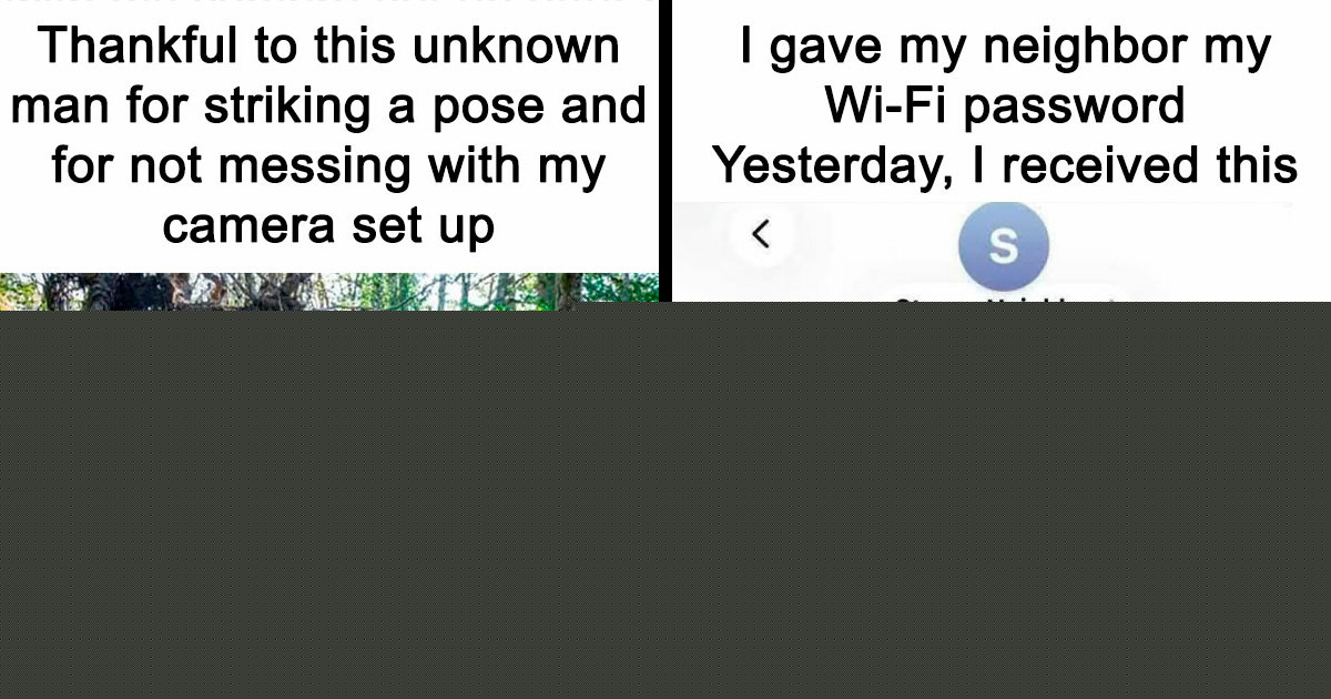 “Made My Heart Full”: 73 Wholesome Posts That Might Be Exactly What You Need Today (New Pics)