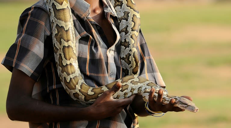 Sri Lankan beauty pageant contestant fined with animal cruelty