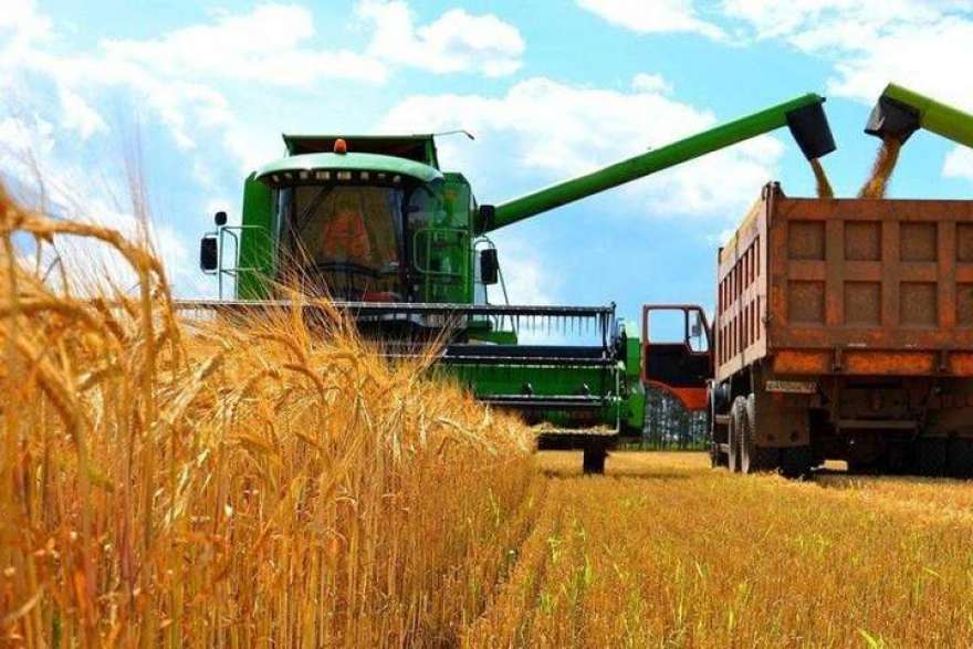 Аграрії Вінниччини обмолотили 60% площ ранніх зернових