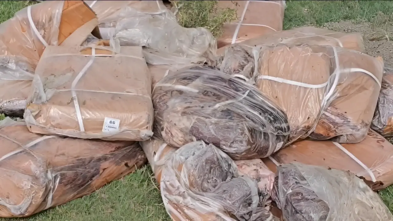 Jammu Kashmir: FDA Seizes Over 2,500 Litres Ghee, 2,600 Kg Meat in Food Safety Drive