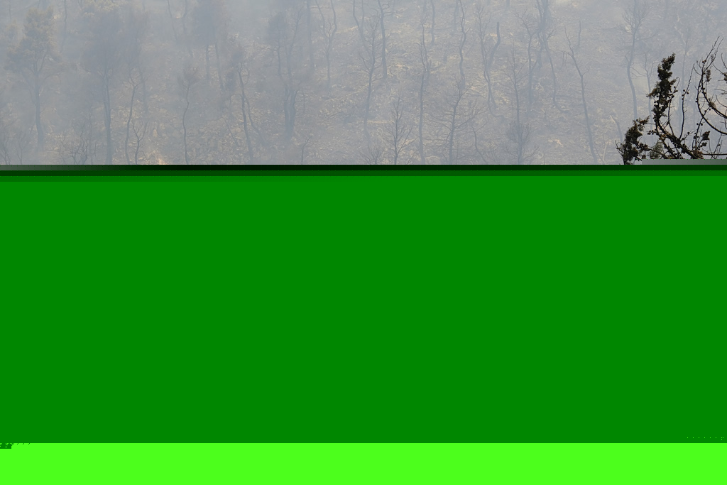Very High Fire Risk in Attica and Five Other Regions