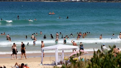 Sydney beach emptied after shark sighting