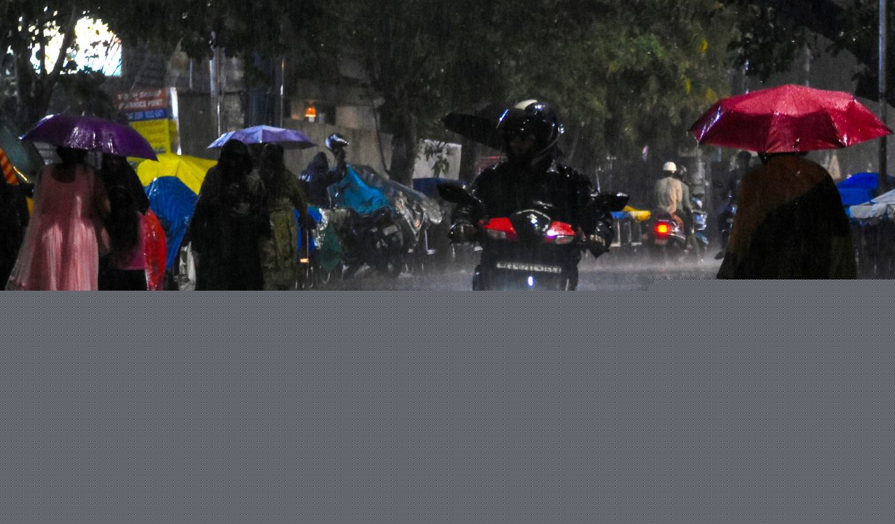 Telangana government puts districts on alert amid heavy rain forecast