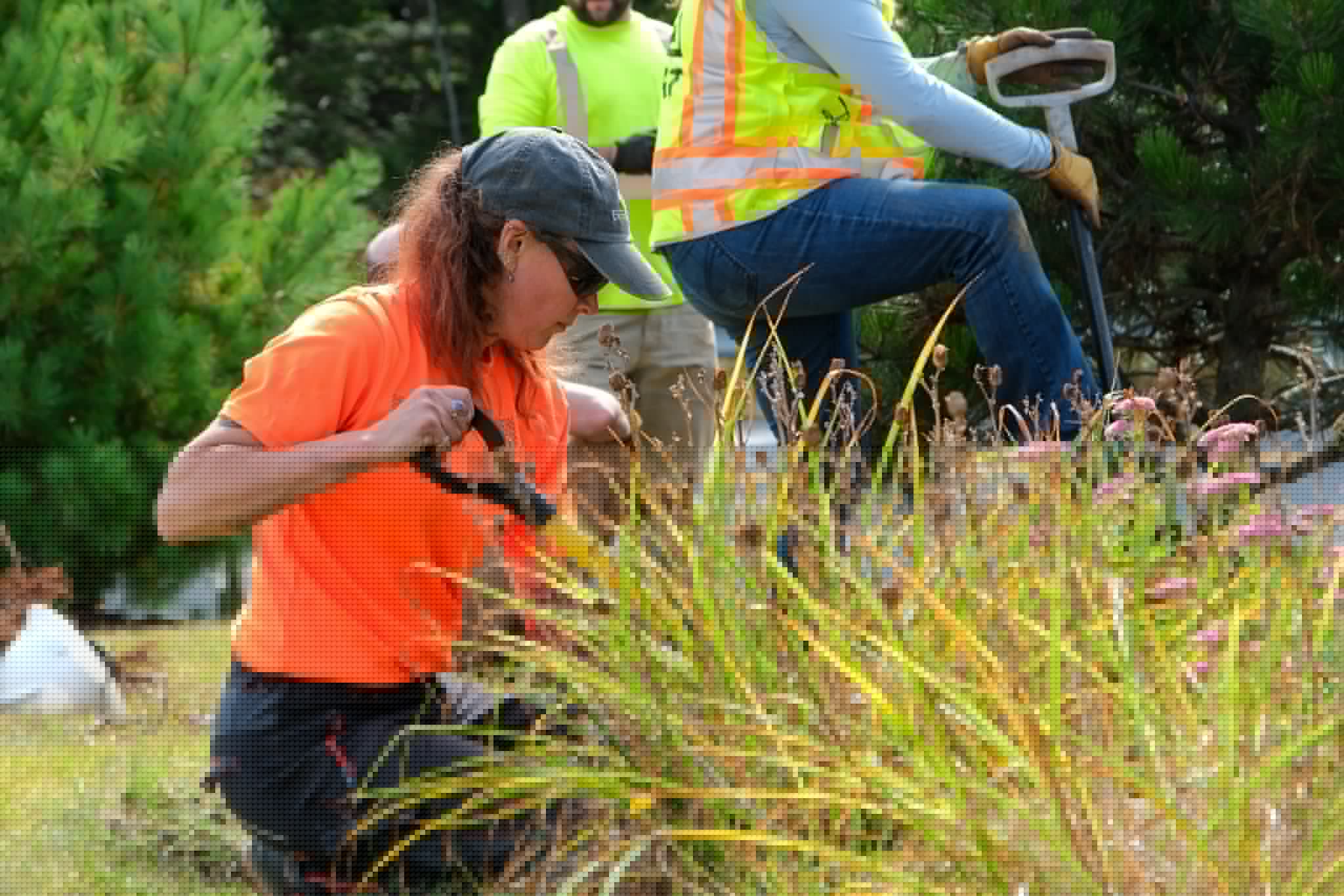 Eversource promotes sustainability and honors veterans at Saluting Branches event