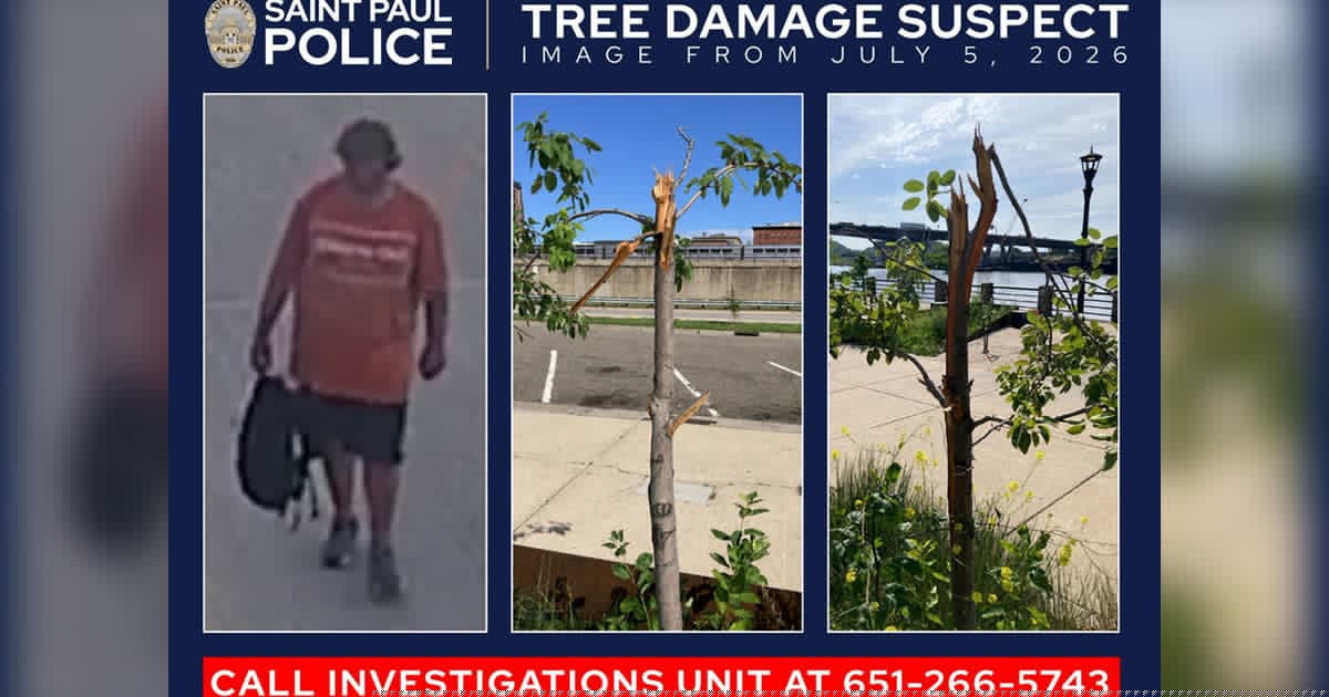Man who damaged 24 trees in St. Paul park sought by authorities
