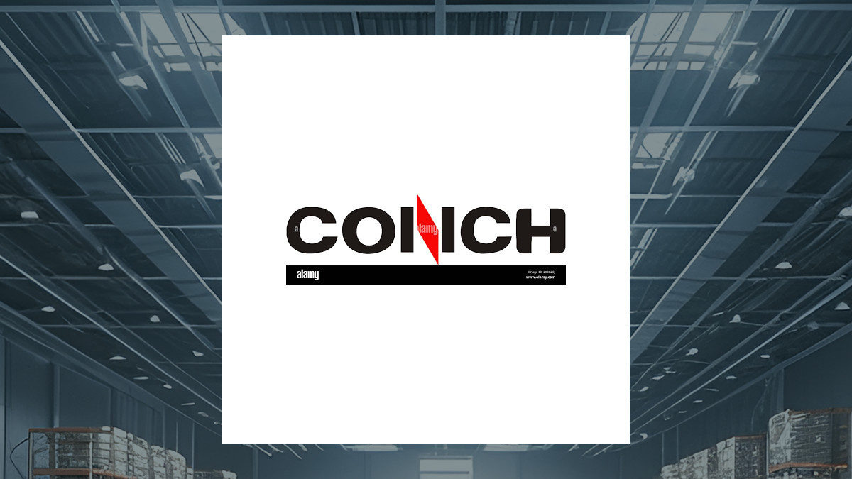 Anhui Conch Cement (AHCHY) versus Its Peers Financial Contrast