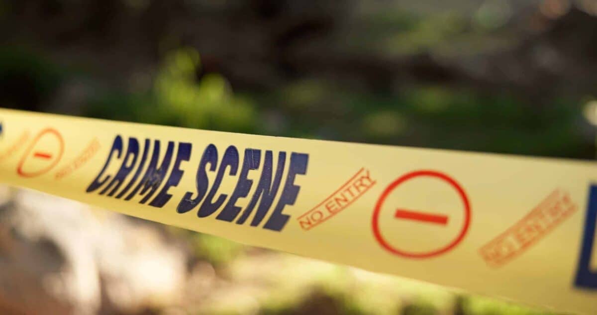 Bakkies not designed to carry children, says Limpopo MEC after fatal crash