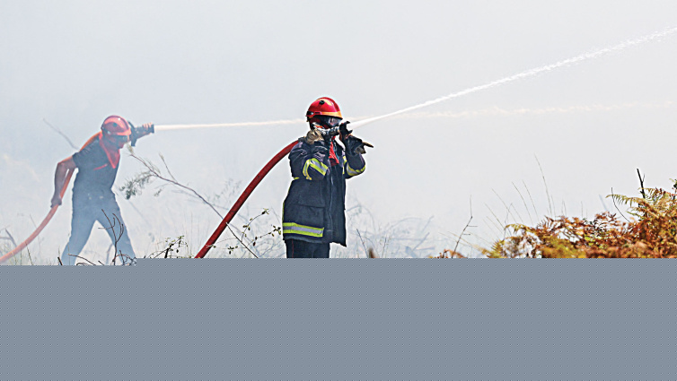 <a href="https://www.thedailystar.net/news/world/news/heatwave-fans-france-spain-wildfires-4235876" hreflang="en">Heatwave fans France, Spain wildfires</a>