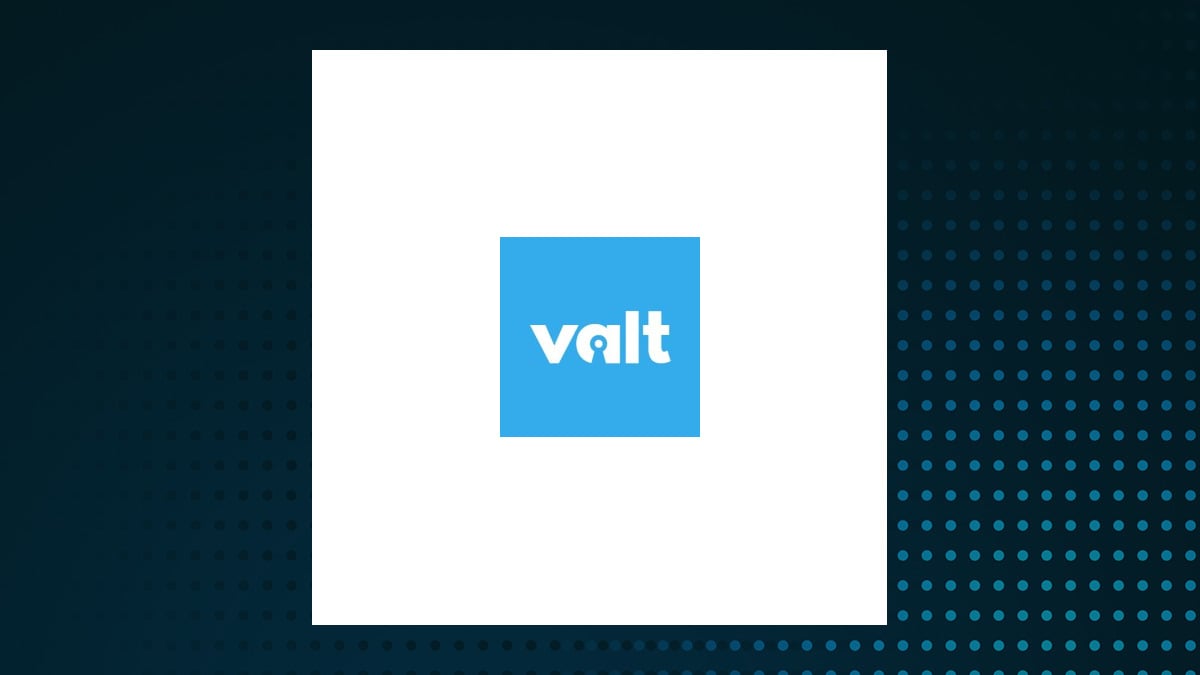 Valt Technology Services H1 Earnings Call Highlights