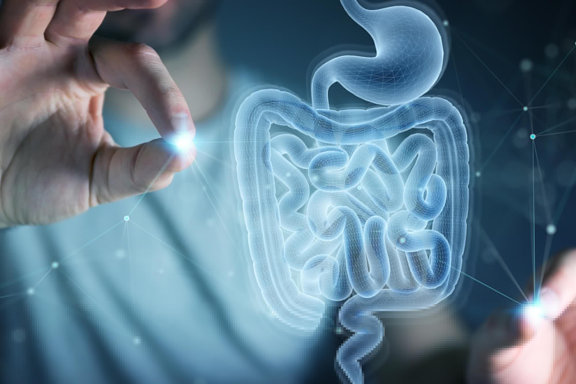 Study Finds Common Meds Leave Lasting Imprints on the Gut, Even Years After You Stop Taking Them