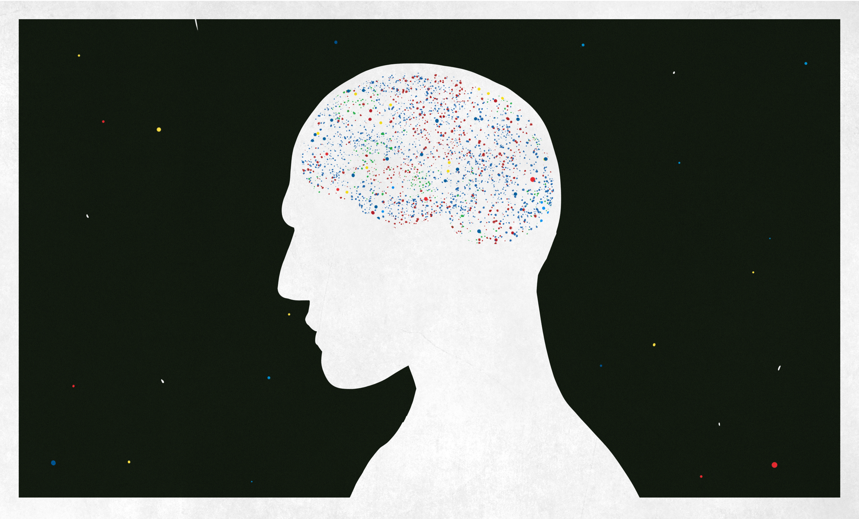 Comment on Did We Overestimate the Potential Harm from Microplastics? by Anonymous