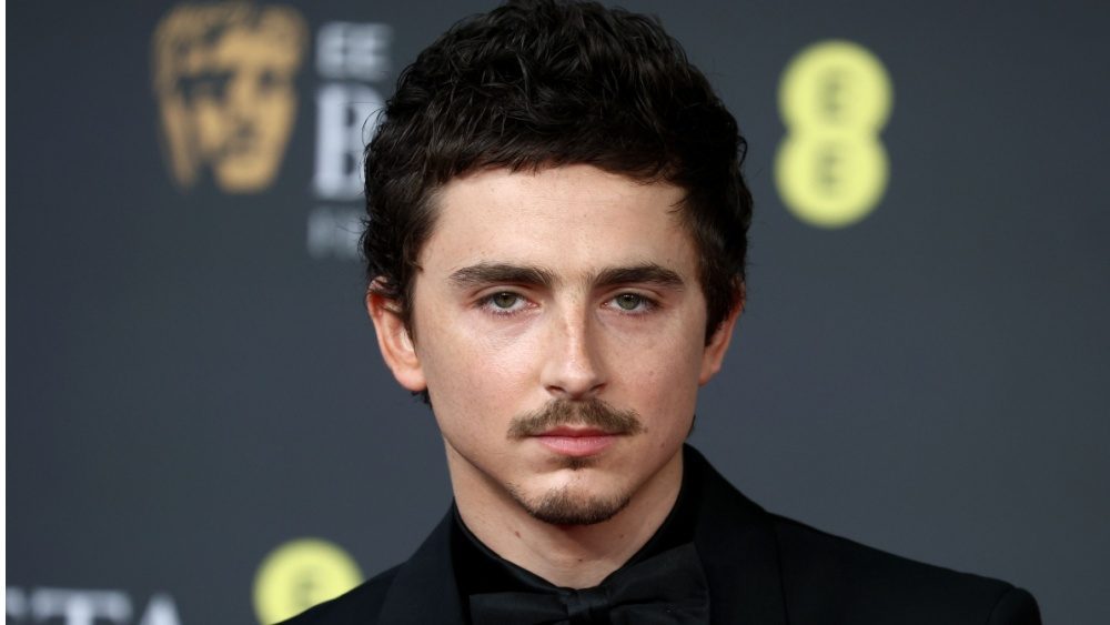 See the teaser trailer for the animated comedy ‘Not Alone’ starring Timothée Chalamet and Selena Gomez