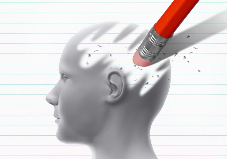 Two-Year Lifestyle Program Boosts Cognition 55% More in Older Adults