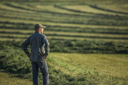Farm bankruptcies are soaring amid low crop prices, while Trump considers bailout of up to $14 billion