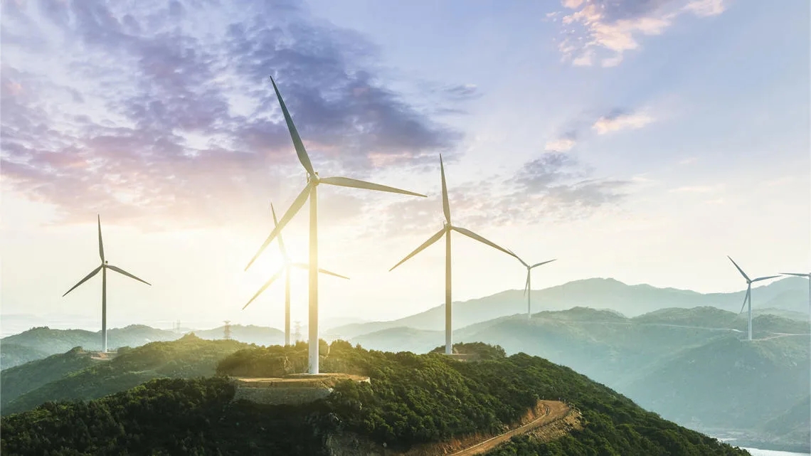 Roadmap to Nature Positive for the Energy System