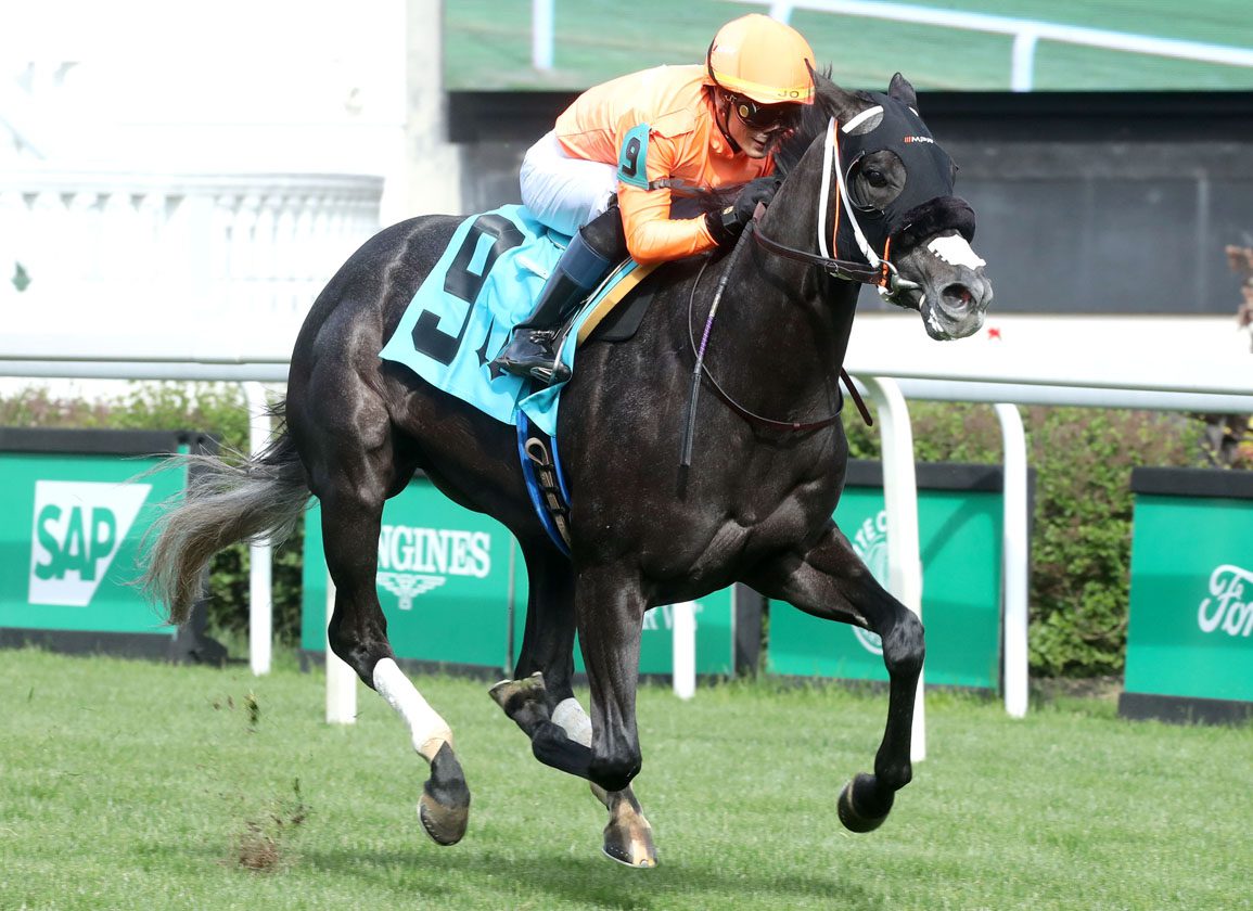 Eclipse Award Champ Shisospicy Has Spiked A Fever And Will Miss Race In Saudi Arabia