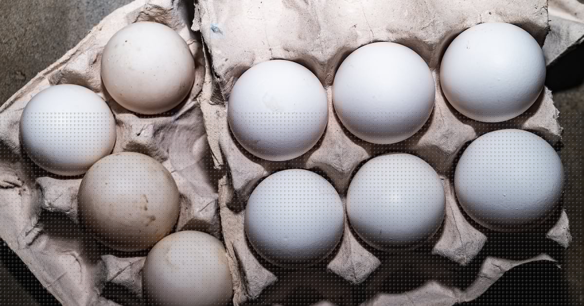 Millions of Eggs Recalled Over New Diarrhea Illness Fears