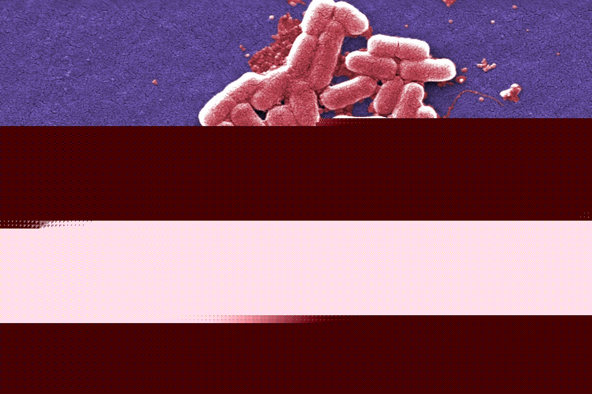 Nothing to fear: AI just created a virus that is not found in nature
