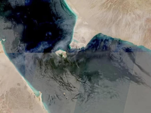 3 Pakistanis among four killed after Houthi attack on commercial vessel in Bab al-Mandeb: Yemen ministry