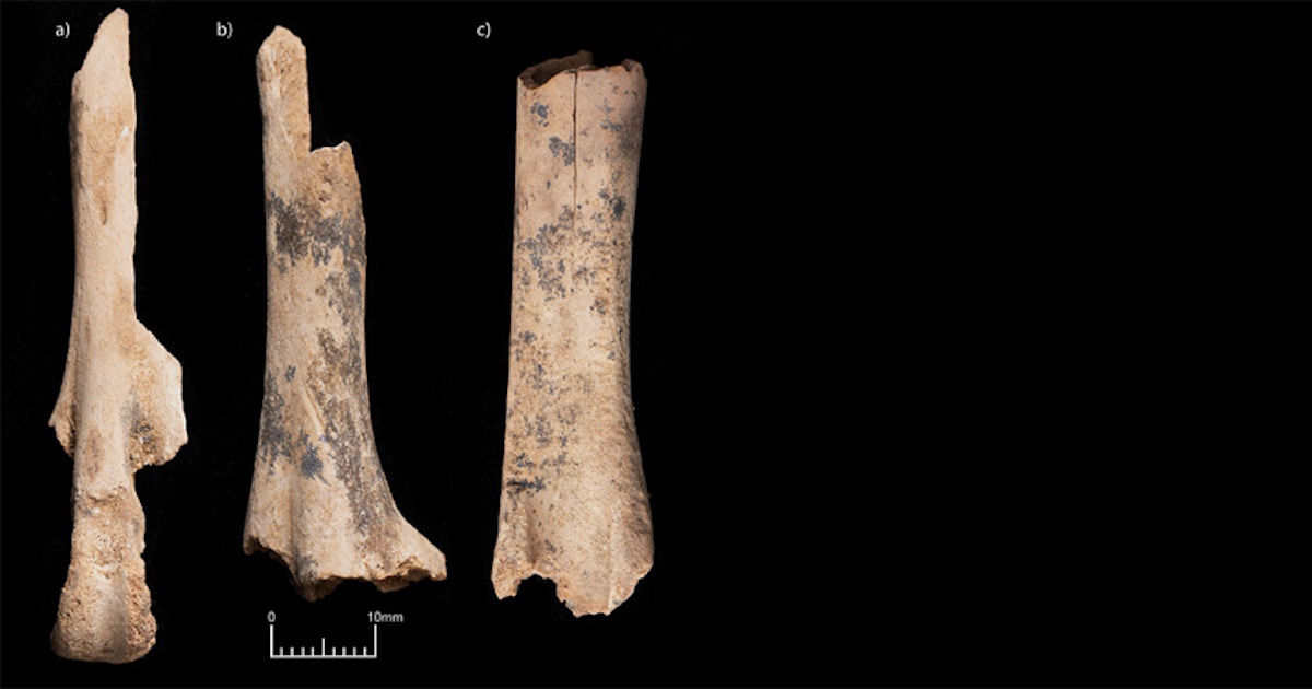 L’impronta molecolare invisibile dei materiali archeologici