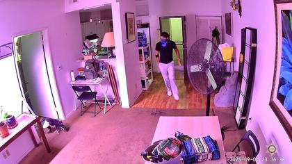 Man accused of killing dog during West Hollywood home burglary arrested