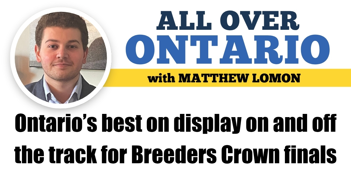 Ontario’s best on display on and off the track for Breeders Crown finals