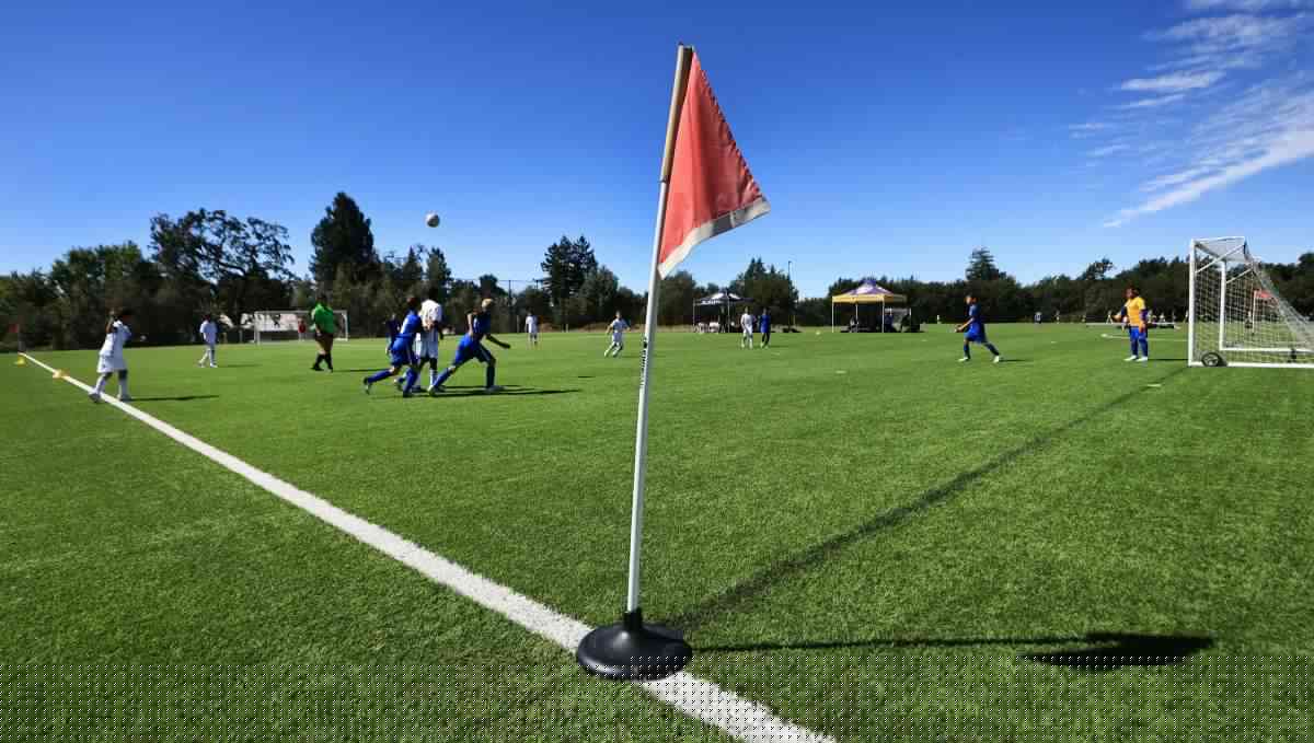 Comment on Santa Rosa considering potential artificial turf ban over health and environmental concerns by commenter