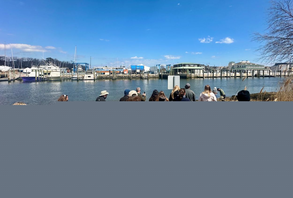 DNREC to Host Introduction to Living Shorelines Training on Sept. 22 and 23