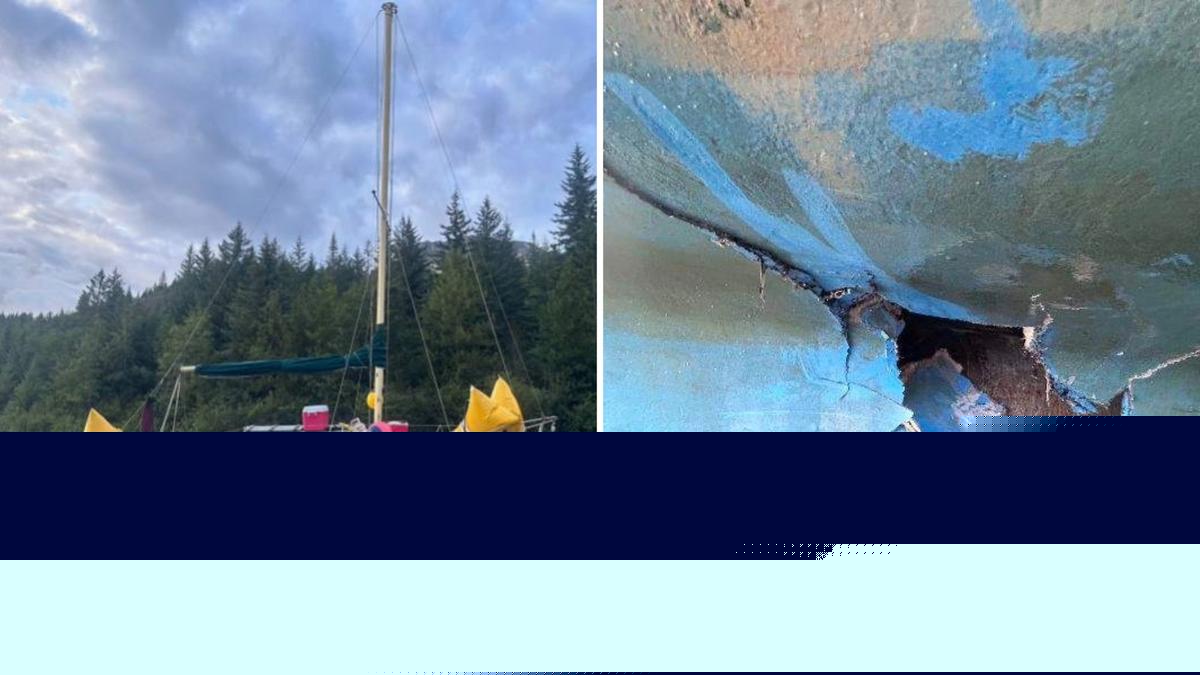 Humpback whale collides with anchored sailboat in Glacier Bay National Park, family flee as it sinks