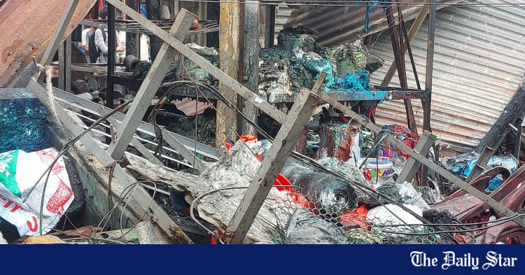 200 birds burnt in Gazipur's Kapasia bazar fire
